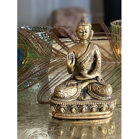 segen-buddha-bhaisajyaguru-heilung-tibet-moskitoo-india-kult