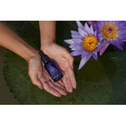 Blauer Lotus Öl