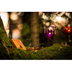 vanilla-incense-cones-fairtrade-natural-auroshikha-pondicherry-india-moskitoo-india-kult-switzerland