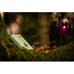 raeucherkegel-fairtrade-natuerlich-auroshikha-pondicherry-indien-moskitoo-india-kult-eucalyptus