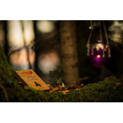 cinnamon-incense-cones-fairtrade-natural-auroshikha-pondicherry-india-moskitoo-india-kult-switzerland