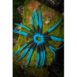 Psy Flower Hairband Blue