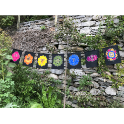 7 Chakra Flag