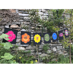 7 Chakra Flag