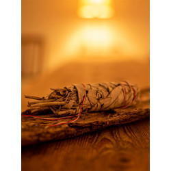 Native American Sage White Sage, Salvia Apiana Smudgebundle, Moskitoo india kult