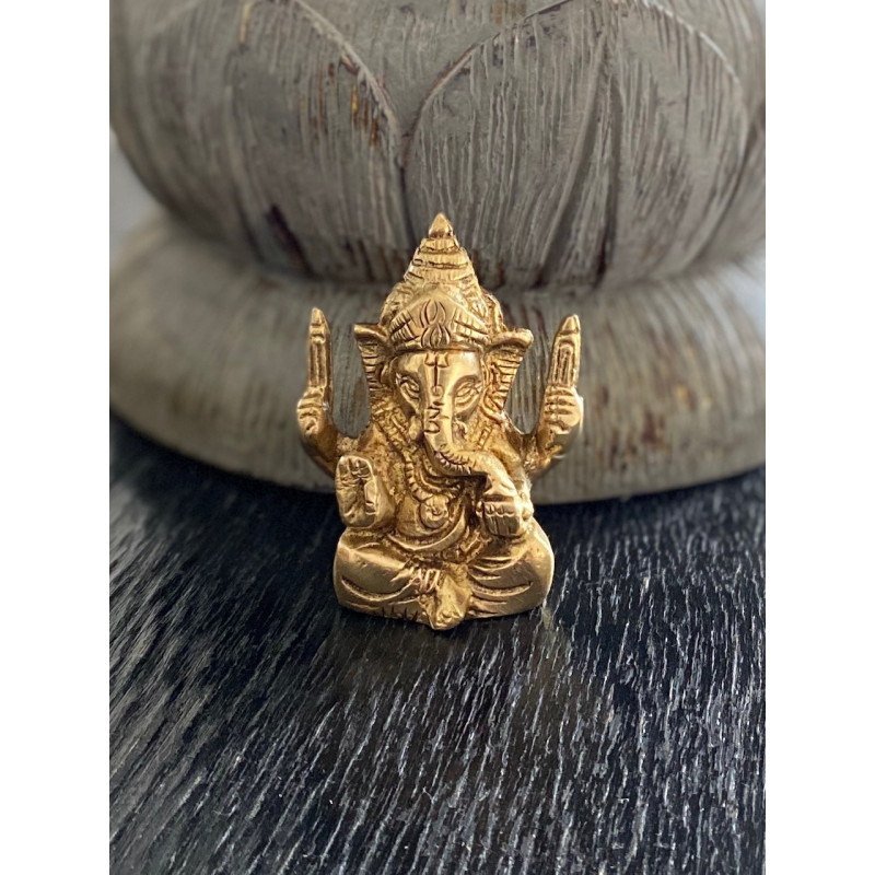 ganesha-abu-godstatue-godfigure-statue-hinduism-moskitoo-india-kult-arbon