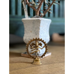 shiva-natraj-natrajkleider-hinduismus-nataraja--spirituelle-götterfigur-moskitoo-india-kult-